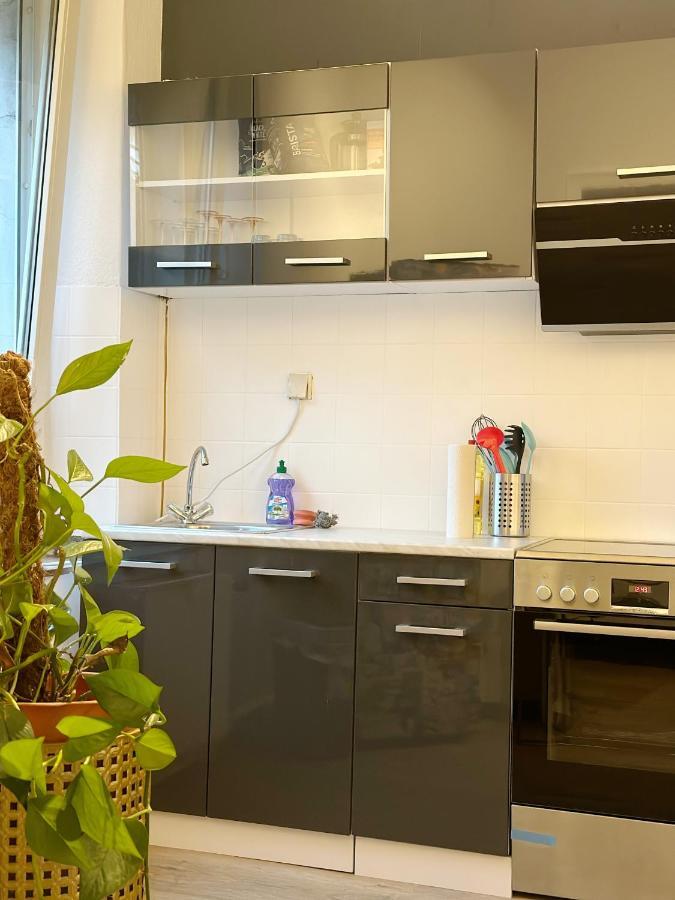 Igo Apartment 2 Schlafenzimmer Mit Waschmaschine Trockner Haustier Rheinufer 5Min Netflix Disney Plus 17-6 뒤스부르크 외부 사진